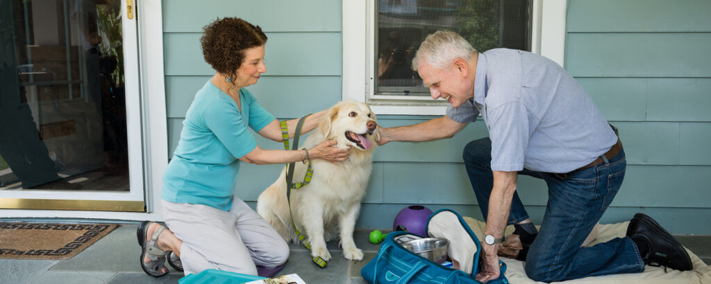 A Handy Guide on Creating a Pet Emergency Kit