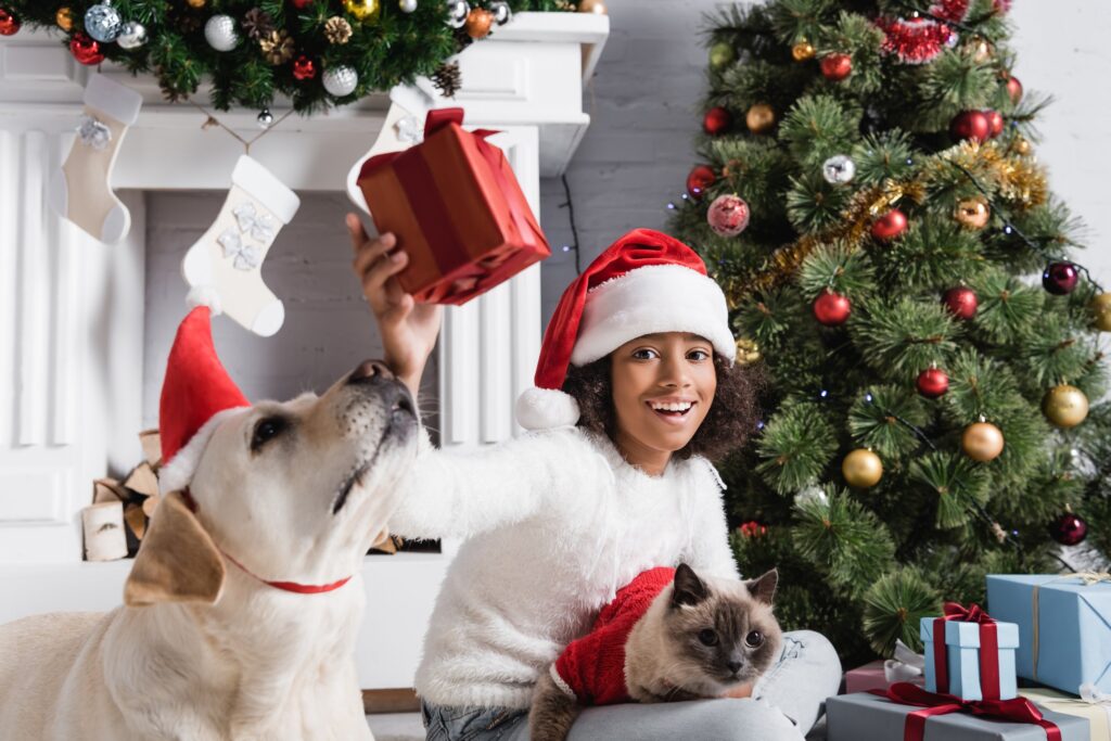 Christmas Gift Guide: 7 Perfect Presents for Your Pets