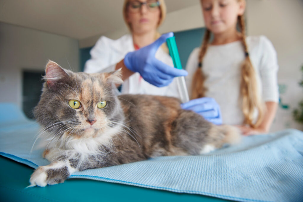 How Vaccinations Protect Your Pet’s Health: A Comprehensive Guide